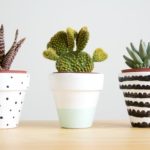 [$20] Plant and Pottery Workshop