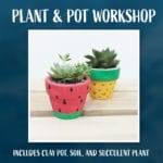 Plant and Pot Workshop (All Ages Welcome)